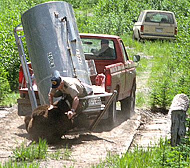 Ranger falling on Bear