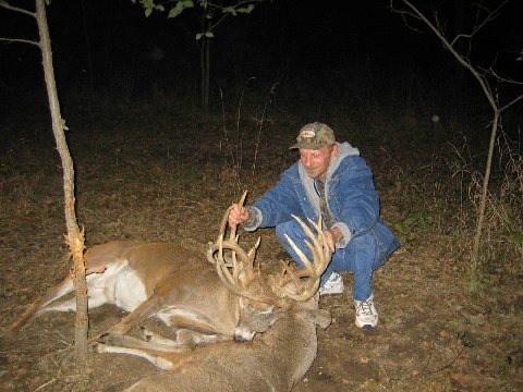 Deer locked together