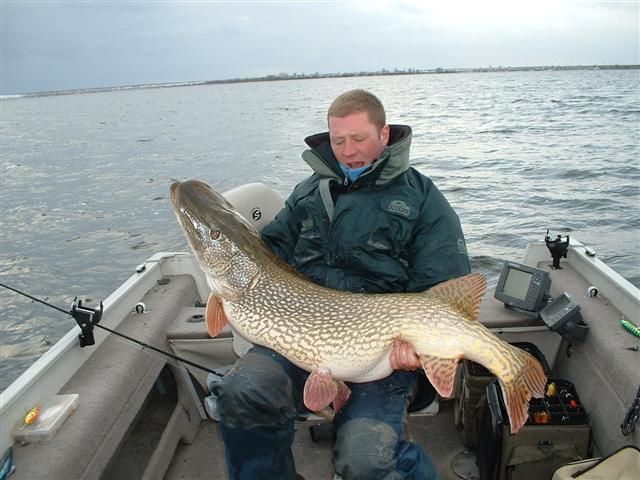 Large Pike